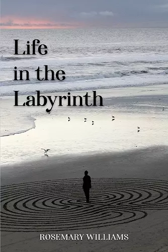 Life in the Labyrinth cover