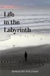 Life in the Labyrinth cover