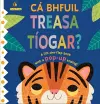 Ca bhfuil Treasa Tiogar? cover