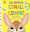 Ca bhfuil Conall Coinin? cover