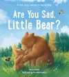 Are You Sad, Little Bear? cover