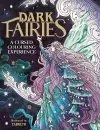 Dark Fairies cover