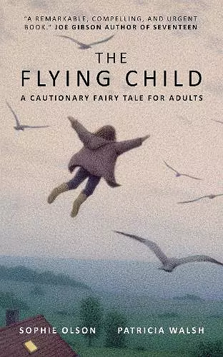 The Flying Child - A Cautionary Fairytale for Adults cover