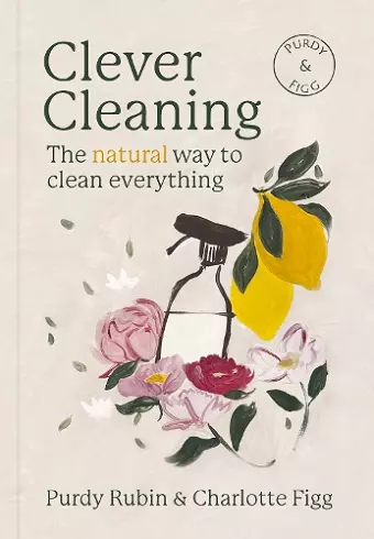 Clever Cleaning cover