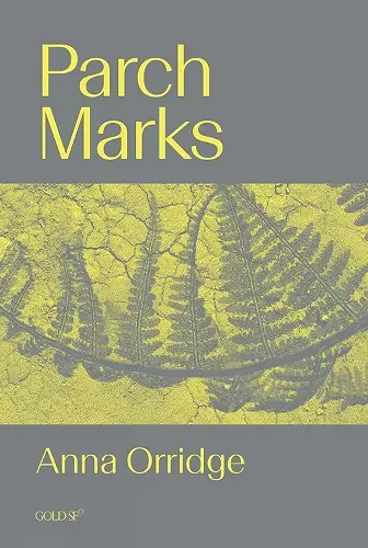 Parch Marks cover