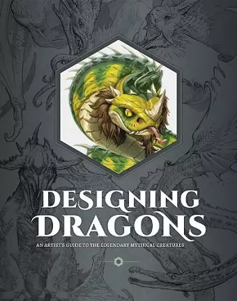 Designing Dragons cover