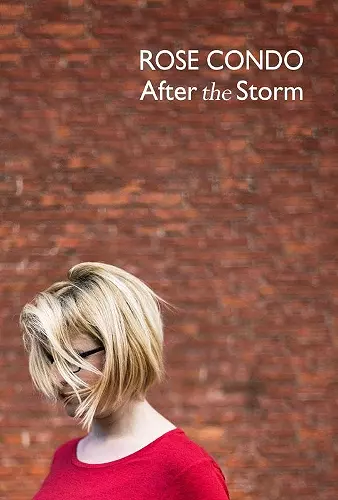 After the Storm cover