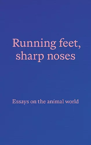 Running feet, sharp noses cover