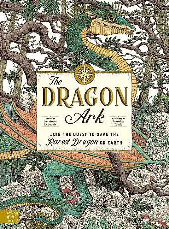 The Dragon Ark cover