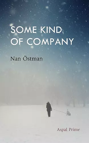 Some Kind of Company cover