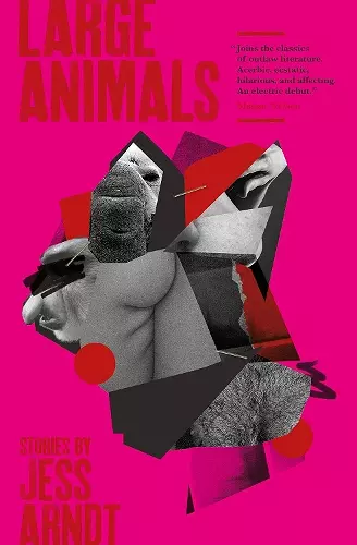 Large Animals cover