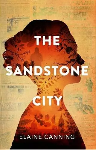 Sandstone City, The cover