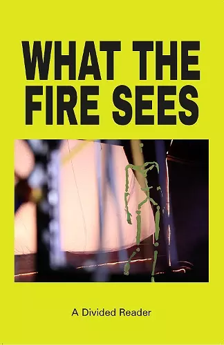 What the Fire Sees cover