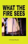 What The Fire Sees cover