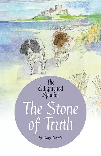 The Stone of Truth cover