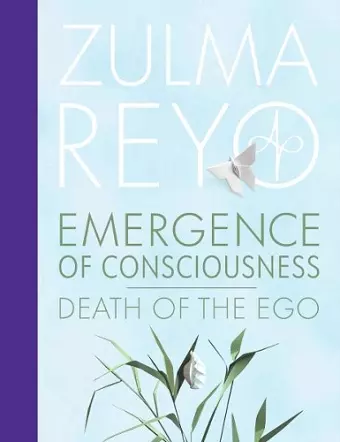 Emergence Of Consciousness cover
