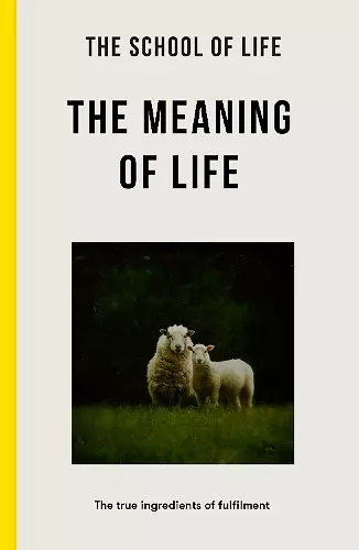 The Meaning of Life cover