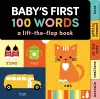 Baby's First 100 Words cover