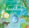 Small, Sparkling Raindrop cover