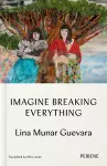 Imagine Breaking Everything cover