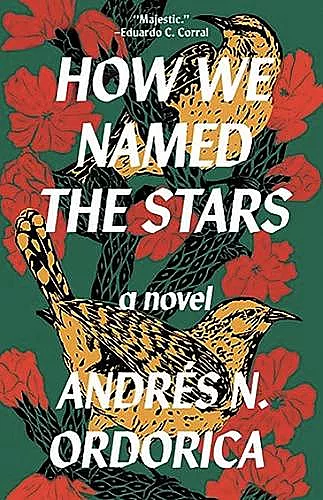 How We Named the Stars cover