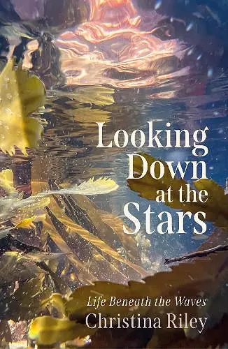 Looking Down at the Stars cover