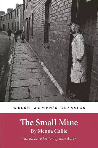 The Small Mine cover