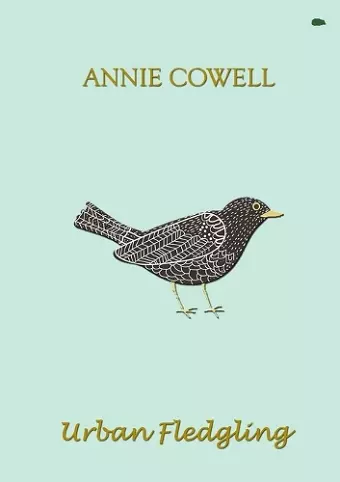 Urban Fledgling cover