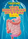 The Digestive System cover