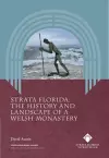 Strata Florida - The History and Landscape of a Welsh Monastery cover