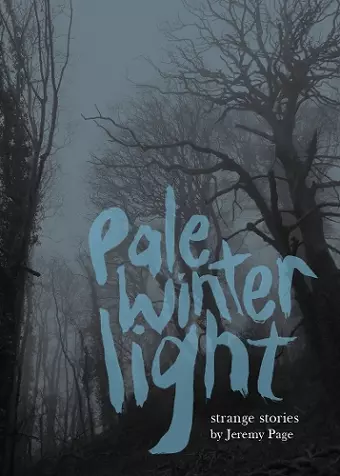 Pale Winter Light cover