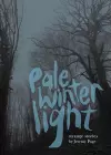 Pale Winter Light cover