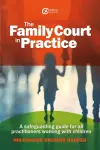 The Family Court in Practice cover