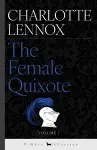 The Female Quixote cover