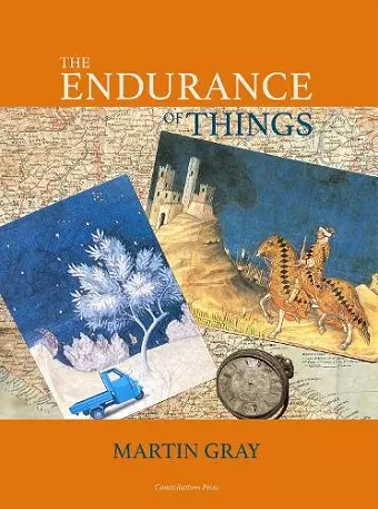 The Endurance of Things cover