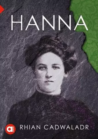 Cyfres Amdani: Hanna cover
