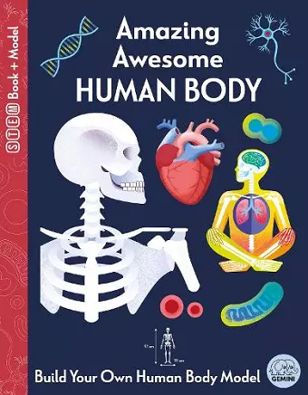 Amazing Awesome Human Body cover