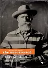 Only Poets Piss in Sinks: The Uncorrected Billy Childish cover