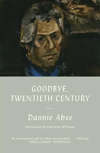Goodbye, 20th Century cover