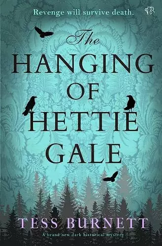 The Hanging of Hettie Gale cover