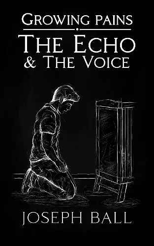 The Echo And The Voice cover