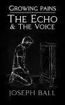 The Echo And The Voice cover