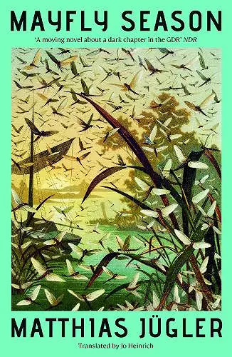 Mayfly Season cover