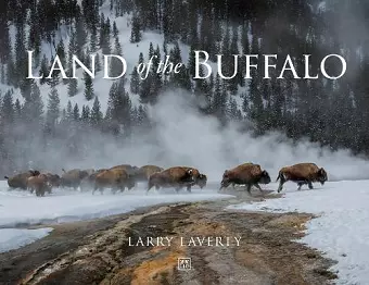 Land of the Buffalo cover