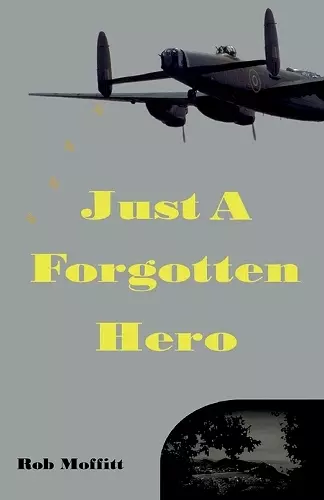 Just A Forgotten Hero cover