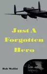 Just A Forgotten Hero cover
