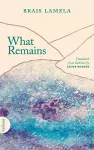 What Remains cover