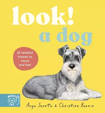 Look! A Dog! cover