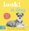 Look! A Dog! cover