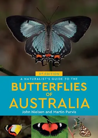 A Naturalist's Guide to the Butterflies of Australia cover